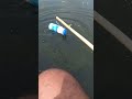 Best fishing with bottle #shorts #fish #fishing