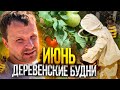 Деревенские будни. Июнь.