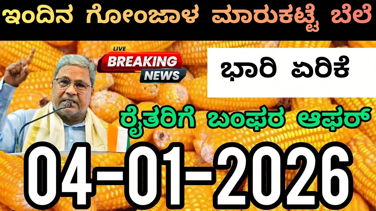 Today Maize Seeds Market Rate | ಇಂದಿನ ಗೋಂಜಾಳ ಮಾರುಕಟ್ಟೆ ಬೆಲೆ 