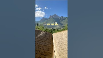 سورة النور آية ٣٥ | قاري علي جابر | القران #اكسبلور#القرآن_الكريم #المصحف#تلاوة_خاشعة#نور#راحة_نفسية