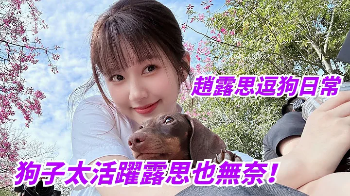 趙露思的逗狗日常~狗子太活潑露思生無可戀哈哈哈哈 彩蛋：陳哲遠的惡魔特效挑戰 #hiddenlove - 天天要聞