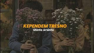 Shinta Arsinta - Kependem Tresno (speed up   reverb)