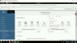 Configuración Servidor FTP - Debian WEBMIN