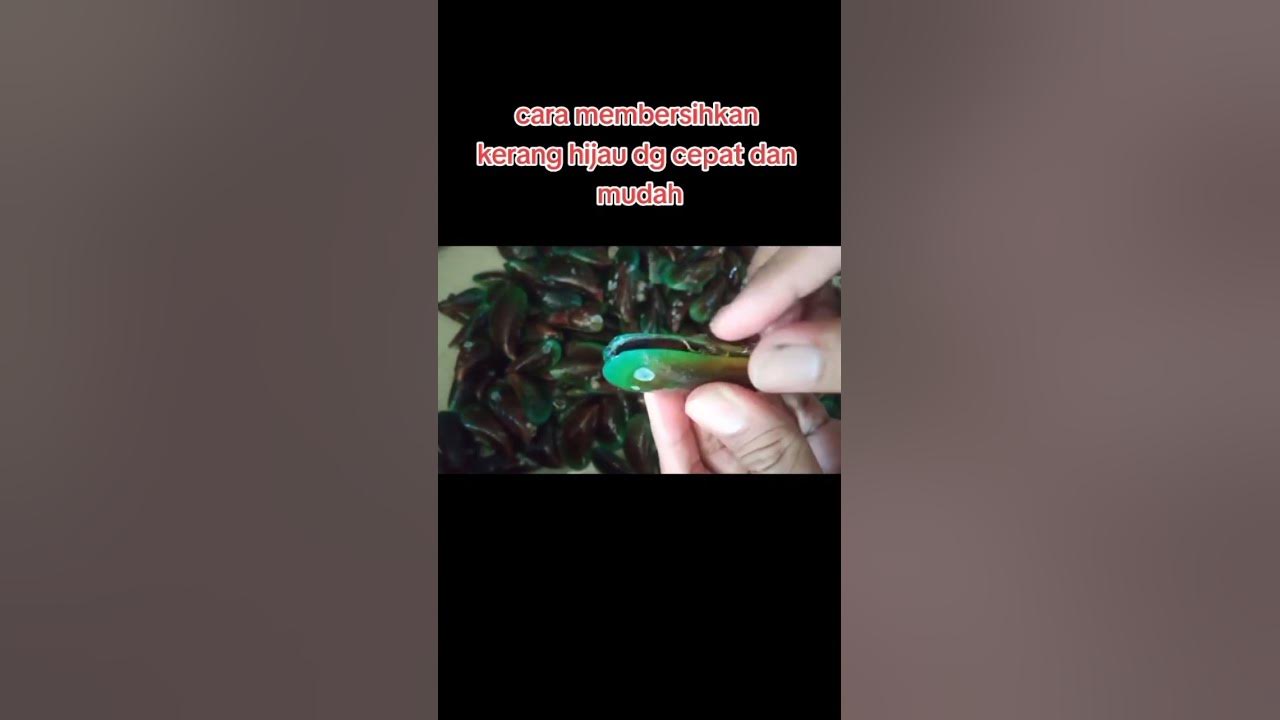 cara membersihkan kerang ijo dengan cepat dan mudah #short #seafood #kerang