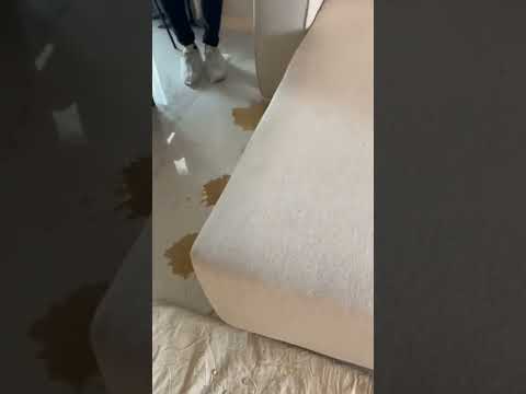 waterproof sofa