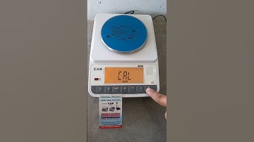 CAS weighing machine XE series 600g calibration