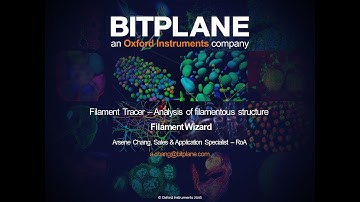 8.2 Imaris: Filament Wizard