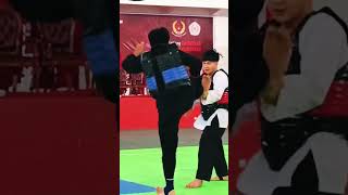 Download Lagu ADU TENDANGAN PSHT Vs MERPATI PUTIH MP3