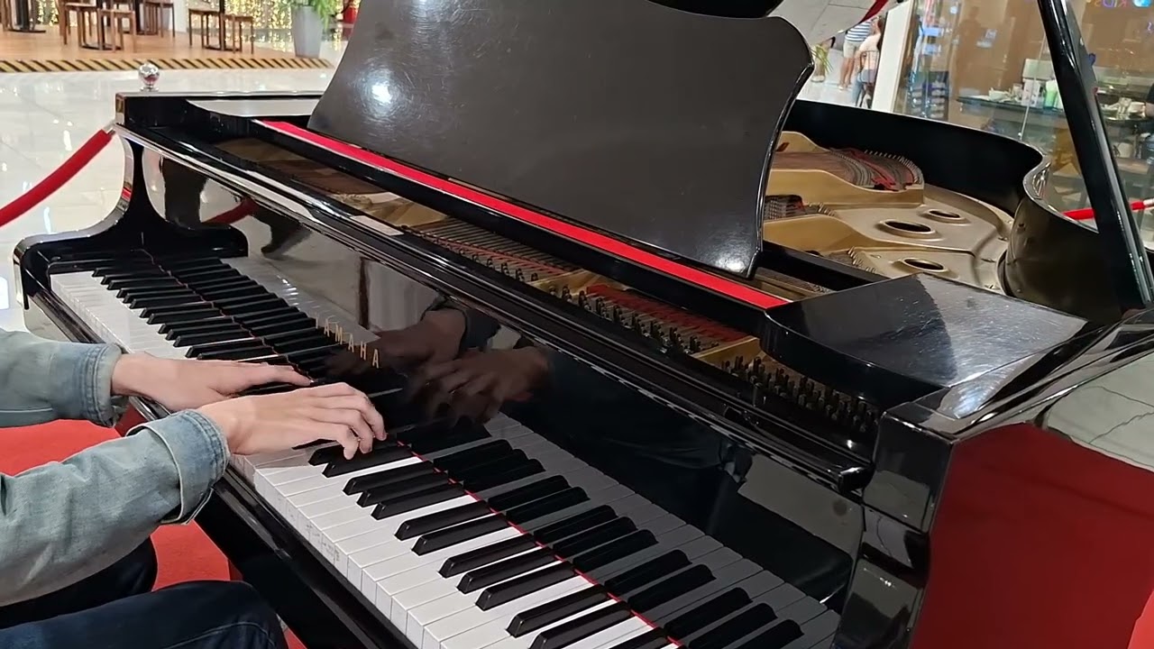 Chopin- Nocturn Op. 9 No. 2 On A Public Piano