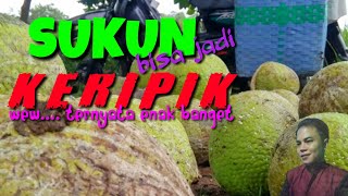 Download Lagu Downlod Cara Bikin Kripik Pare MP3 Downlod Cara Bikin Kripik Pare