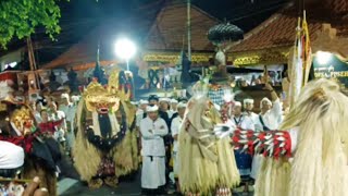 Kerauhan Massal..‼️Napak Pertiwi Sesuhuunan Pura Desa lan Puseh Desa Pekraman Pemogan 2025
