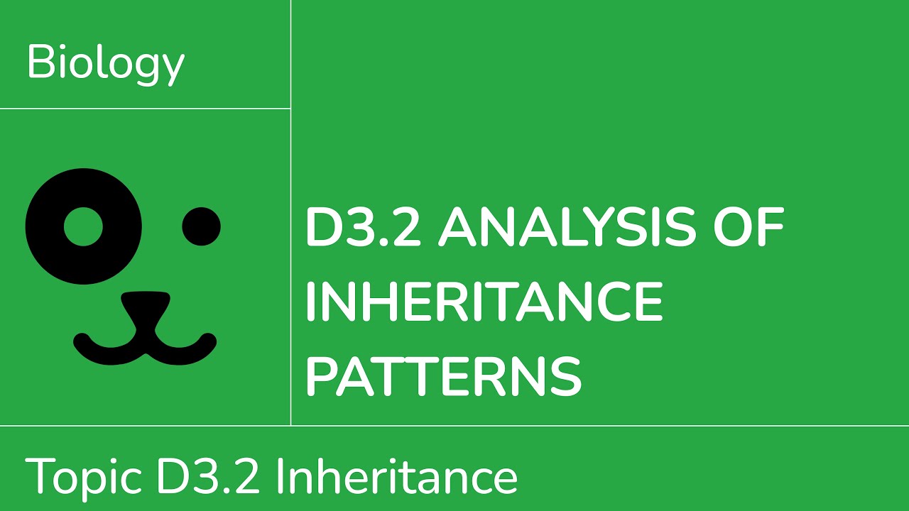 D3.2 Analysis of Inheritance Patterns [IB Biology SL/HL]