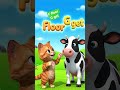 F floor G get cat and cow reading