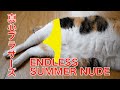 真心ブラザース - ENDLESS SUMMER NUDE カバー