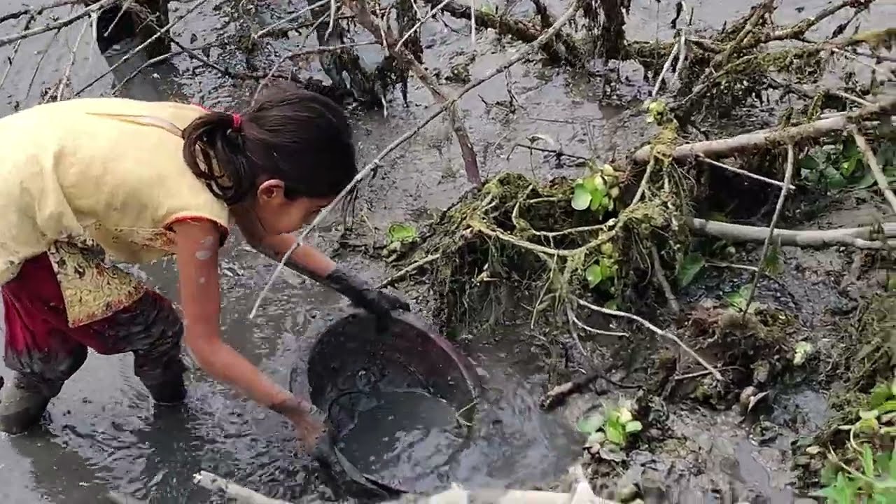 How My Little Sister Catches Fish: Village Life Style. #fishing #fishingvideos #bigfish #traditional