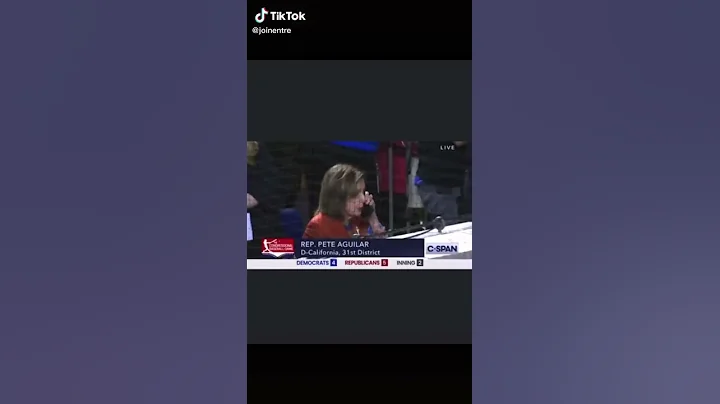 Nancy Pelosi The Wolf Of the white house