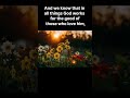 A Great Promise:In all things God works for the good of those who love him,#bible,#shorts, #romans8