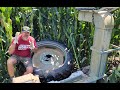 Driving over corn Part 1