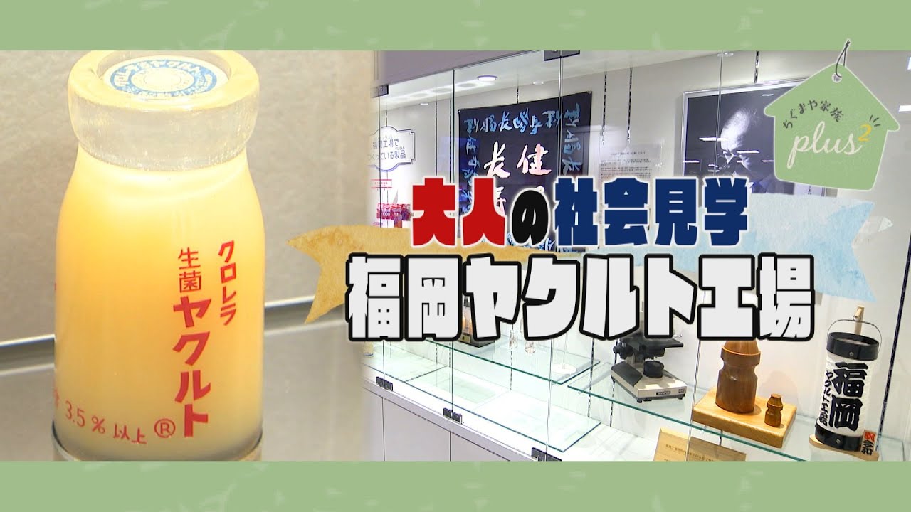 福岡 ヤクルト 工場