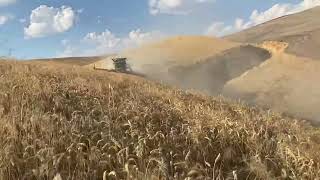 Combine on a steep hillside. Skyrockets #harvest #agriculture #johndeere #farming