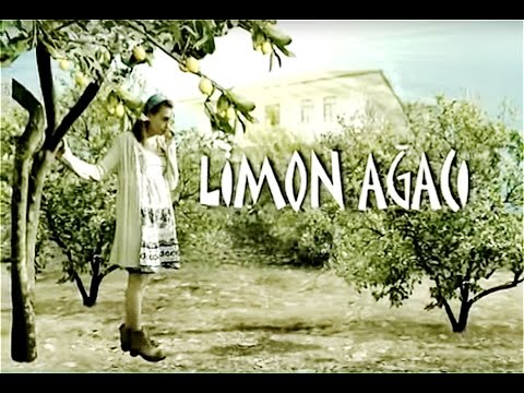 Limon Ağacı (Jenerik)