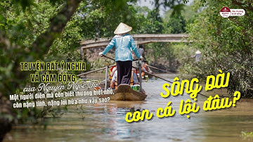 SÔNG DÀI CON CÁ LỘI ĐÂU - ĐỌC TRUYỆN ĐÊM KHUYA - NGUYỄN NGỌC TƯ - TRUYỆN ONLINE - TRUYỆN SIÊU HAY