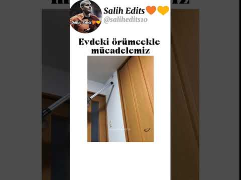 Örümceğe anahtar verildi💀#salihedits
