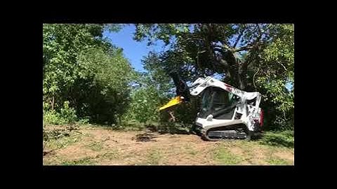 Bobcat T595 with Danuser Intimidator clearing fencline