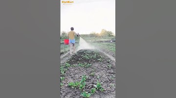 Máy rửa xe, tưới rau chạy bằng pin  vô cùng bền bỉ