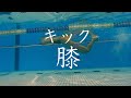 キックの時の膝は曲げる？曲げない？詳しく話します【水泳】