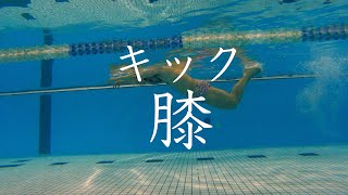 キックの時の膝は曲げる？曲げない？詳しく話します【水泳】