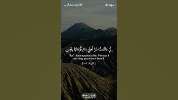 ما تيسر من طه || القارئ محمد أيوب | #القرآن_الكريم #قرآن_كريم #القرآن #قرآن #quran  #فذكر #fathakir3