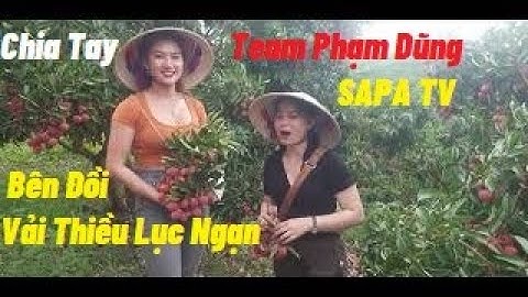 Chia Tay SAPA TV Team Phạm Dũng Trên Đồi Vải Thiều Lục Ngạn Siêu Đẹp  l Núi Đồi Lục Ngạn