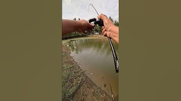 hugo rồi ae ơi😁 #fishing #cauca #lure