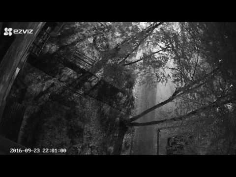 Камера EZVIZ C3S. Ночь, отключение ИК подсветки.