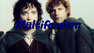 Multifandom: Renegades