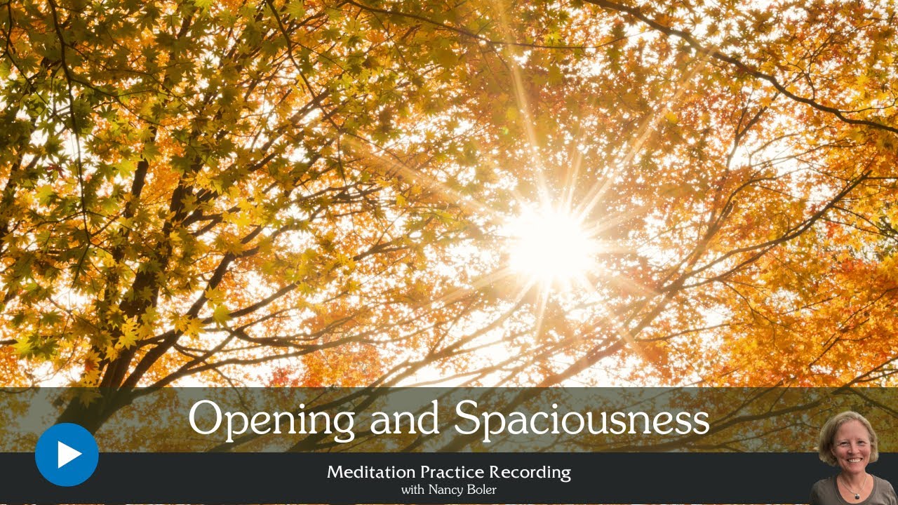 Opening and Spaciousness | Meditation with Nancy Boler | 40 Minutes ...
