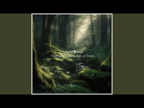 Watch On A Cloud on YouTube Watch On A Cloud on YouTube