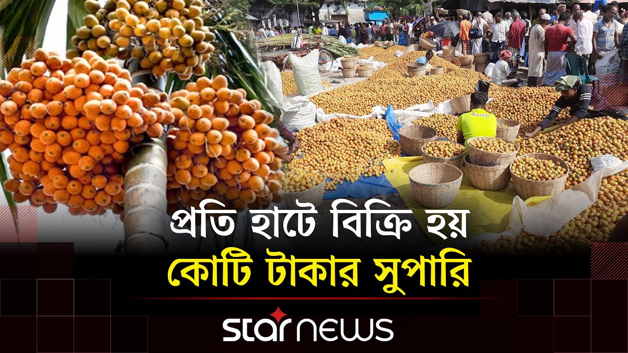 বাগেরহাটে সুপারির বাম্পার ফলনেও হাসি নেই চাষীর মুখে | Bagerhat | Star News