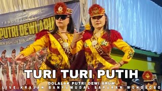 Download Lagu TURI TURI PUTIH  - NDOLALAK DEWI ARUM (LIVE) KRAJAN BANYUMUDAL SAPURAN WONOSOBO  MP3