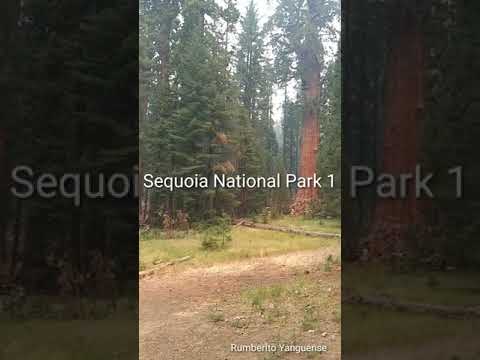 Videó: Teendők a Sequoia és a Kings Canyon Nemzeti Parkokban