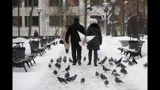 Sinoptikai praneša: savaitgalį jausime lengvą šaltuką, kelius dengs plikledis