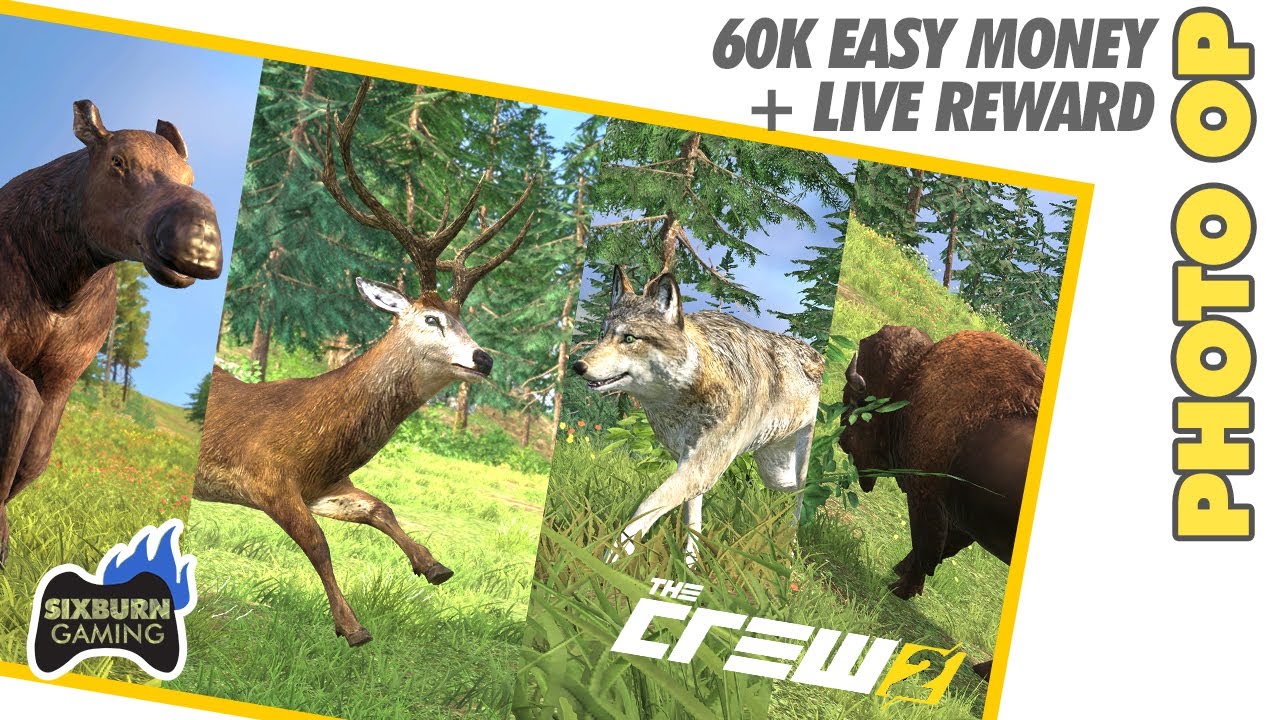 THE CREW 2 60,000 Easy Money Photo Ops 4 Locations Moose Stag Buffalo Coyote Condor + Live Reward