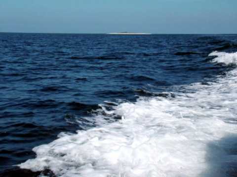 Guarda Tysaun Alexanderic- Waves su YouTube Guarda Tysaun Alexanderic- Waves su YouTube
