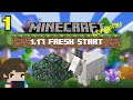 Minecraft Nintendo Switch Gameplay -  1.17 Update | Fresh Start - Survival Longplay Ep 1