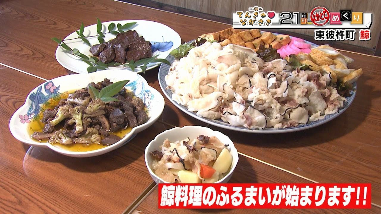 てんきゅ♡ながさき】彼杵鯨肉・鯨の入札会【NCCトコサタ21市町よか