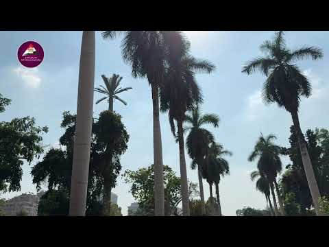 عملية تطوير حديقة الأورمان 