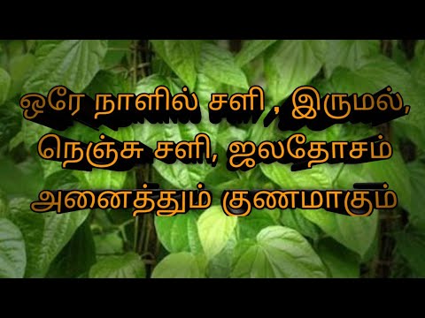 ஒரே நாளில் சளி இருமல் நெஞ்சு சளி ஜலதோசம் அனைத்தும் குணமாகும் | Health tips | News Tamizha