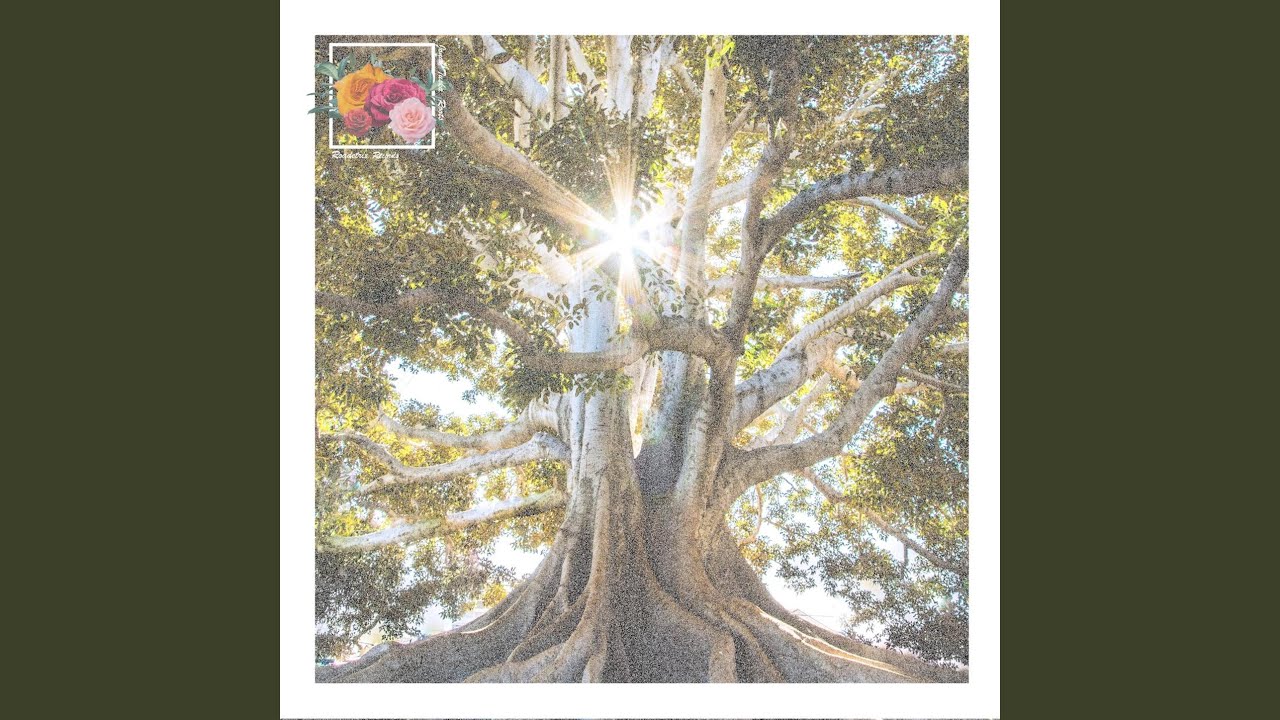 Roots adlı videoyu YouTube'da izle Roots adlı videoyu YouTube'da izle