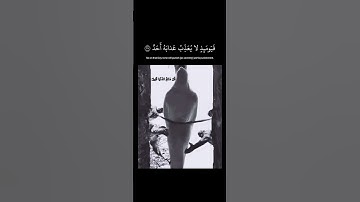 سورة الفجر( يقول ياليتني قدمت لحياتي ) القارئ: رعد الكردي